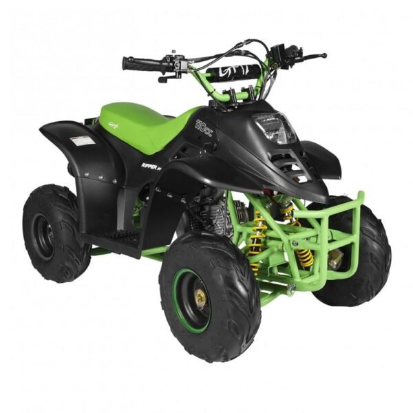 GMX Ripper-X 110cc Junior Kids Quad Bike - Black/Green