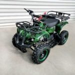 MJM 49cc Petrol Powered 2-Stroke Farm Kids ATV Quad Bike - Green
